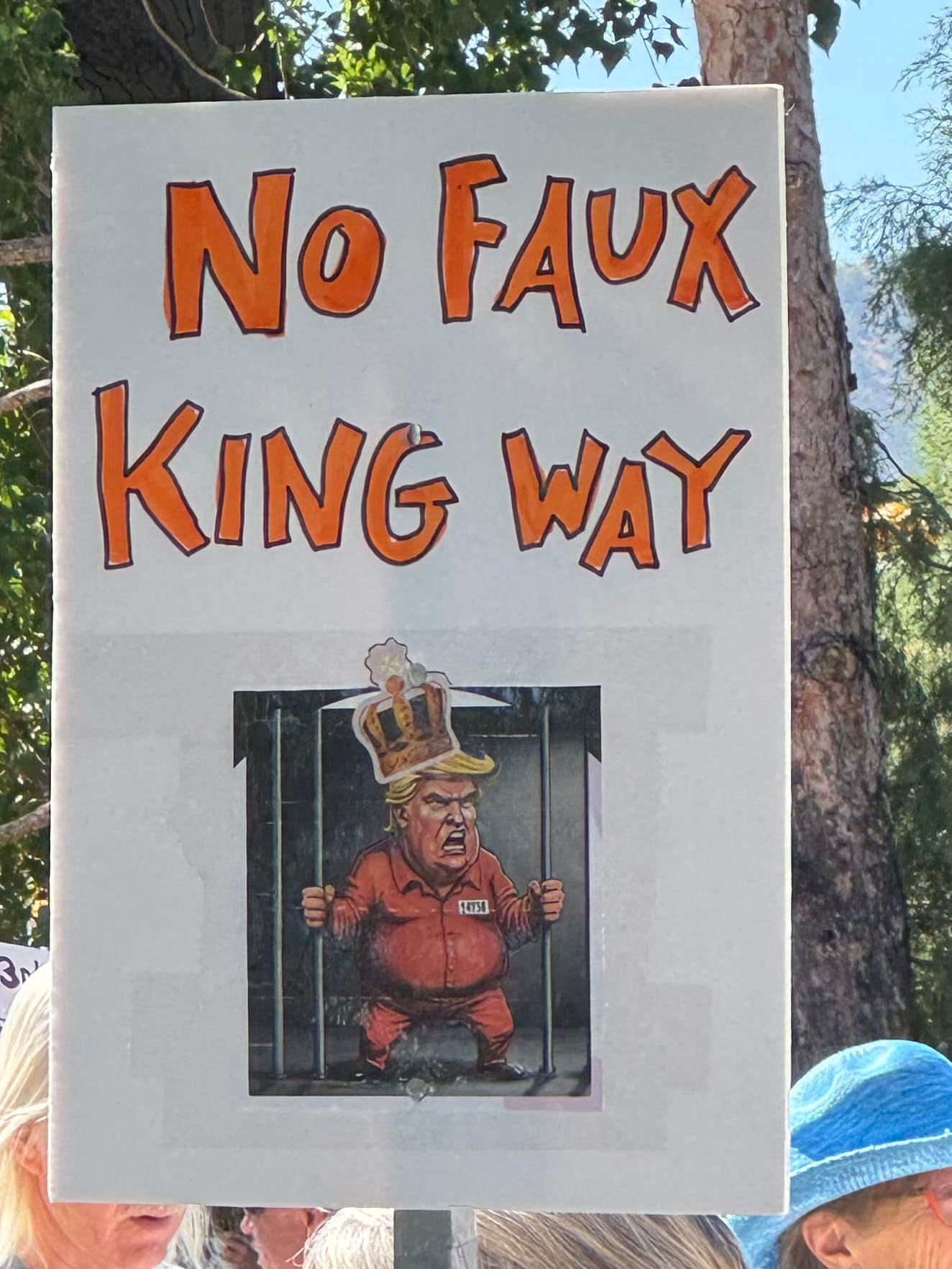 Santa Fe shows up for democracy