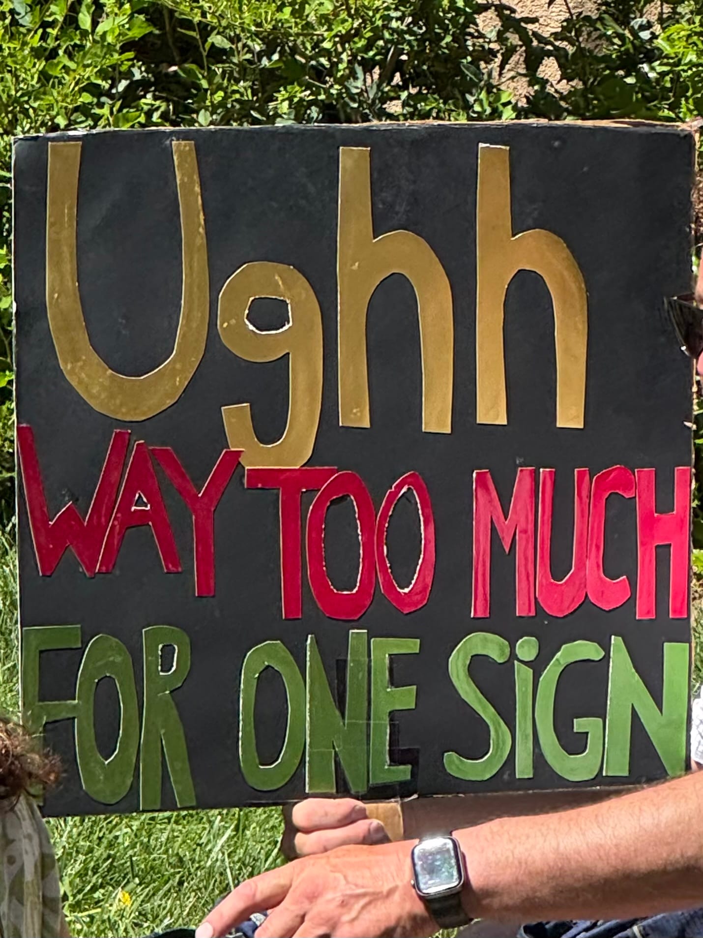 Santa Fe shows up for democracy